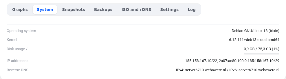 The System tab with the disk usage
